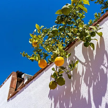 Villa Yanna Benalmádena Exterior photo